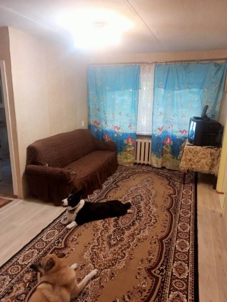 f65e866c-5ae4-40bf-a0d4-6b0269fae066