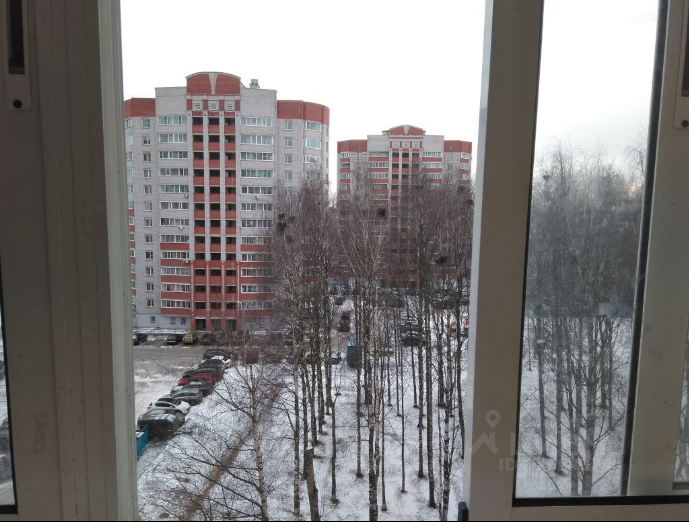 енц3 (3)