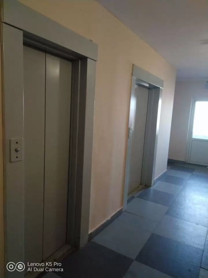 3599833-5