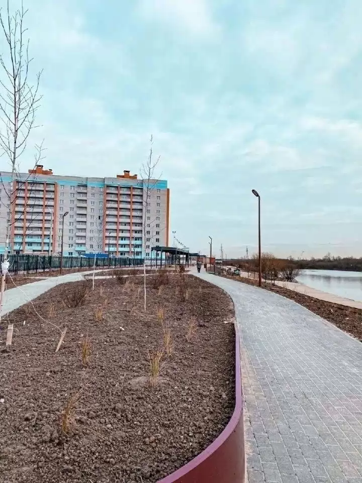 неш (11)
