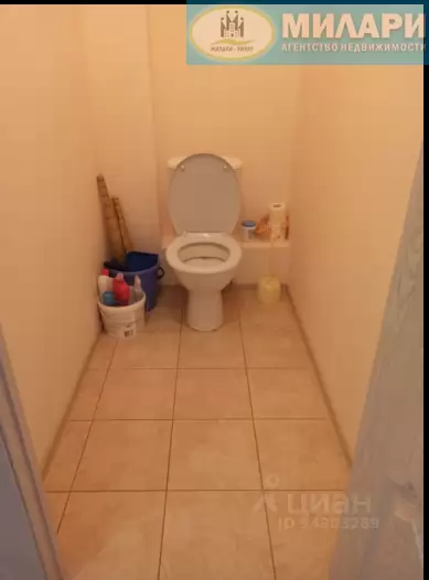 тда (10)