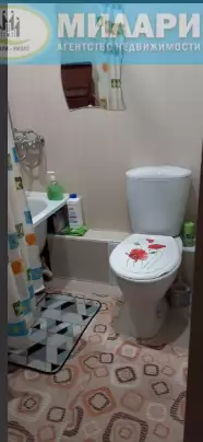 щна (3)