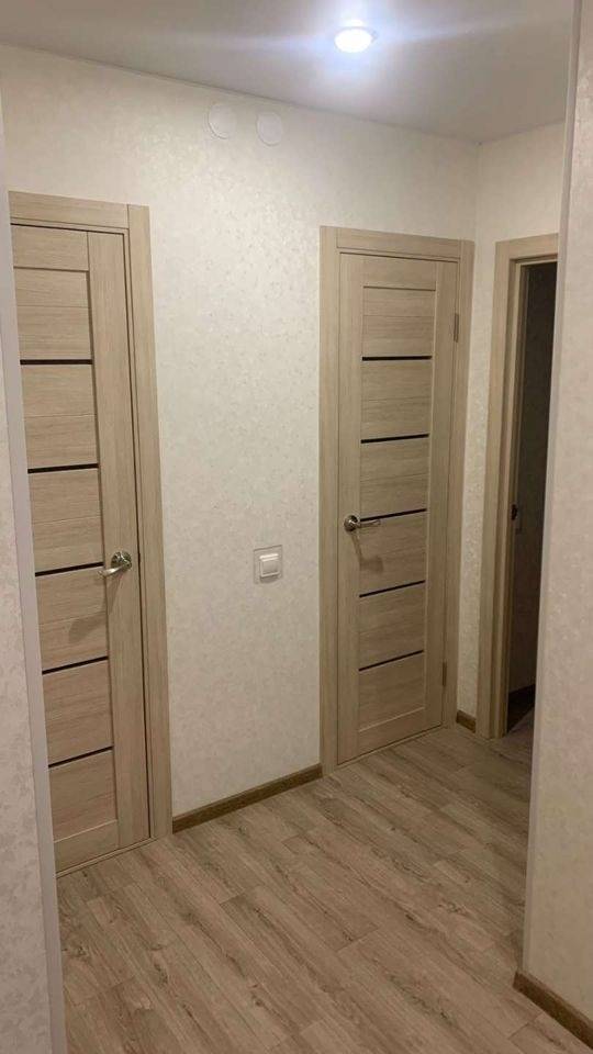 556991-8