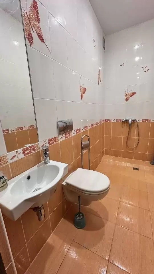 3643173-8
