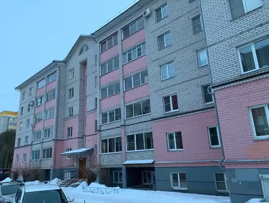 лесвю (2)
