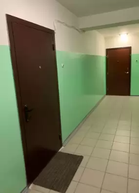 лесвю (13)