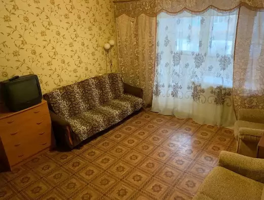 лесвю (3)