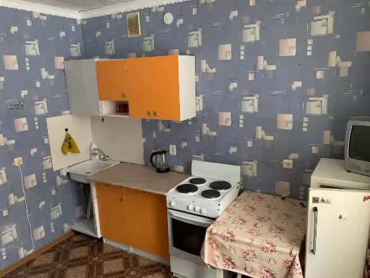 лесвю (6)