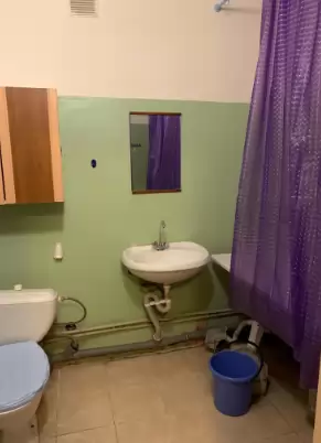 лесвю (9)