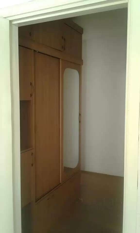 3691445-13
