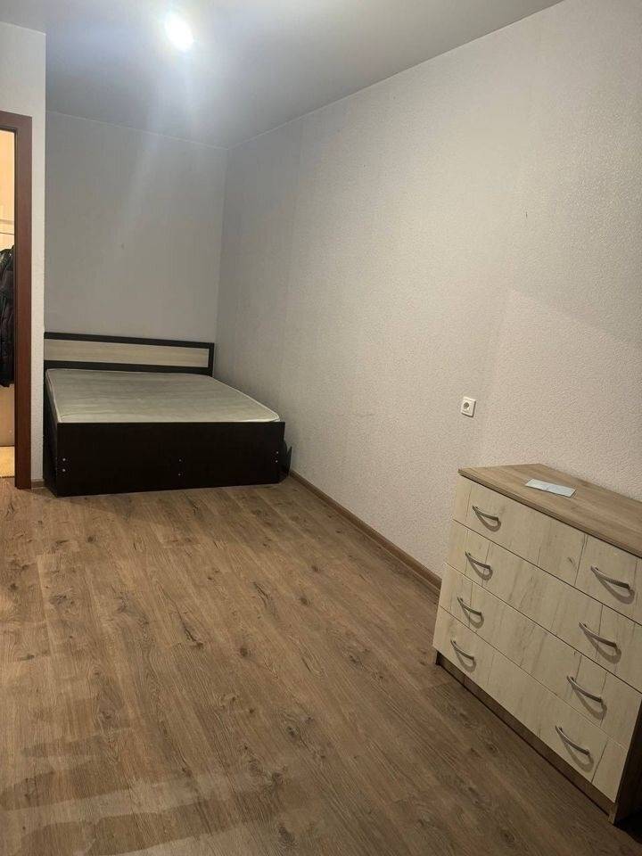 2184491-8