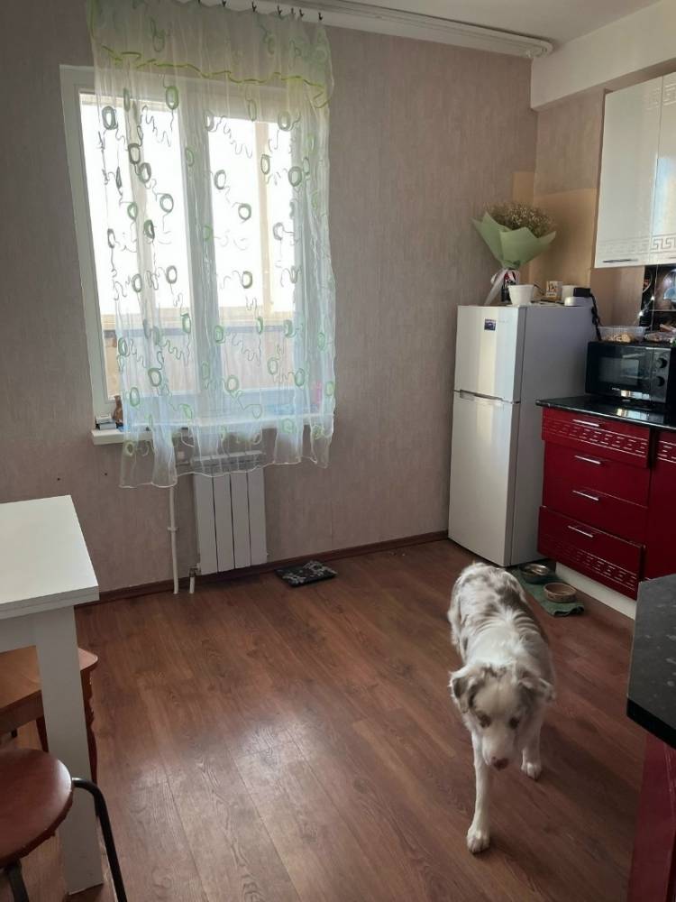 -jw7jhas0siaysoasjatmjcdyayn8g-yu801kv5hoycfglgcoccn-mixbmvr2llpbs0wfvmllfw9gvpz5k0e5fwn