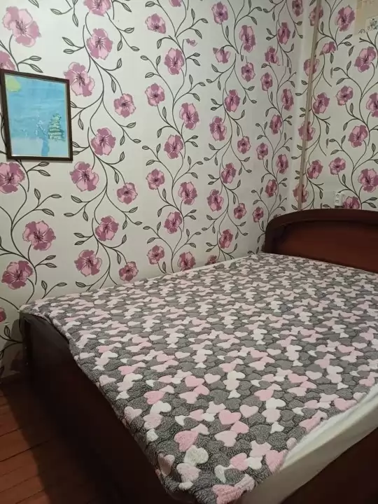 с33