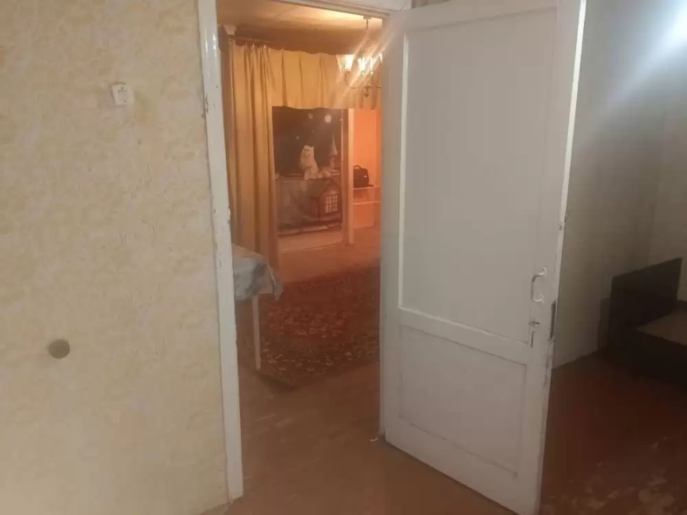 3925597-3