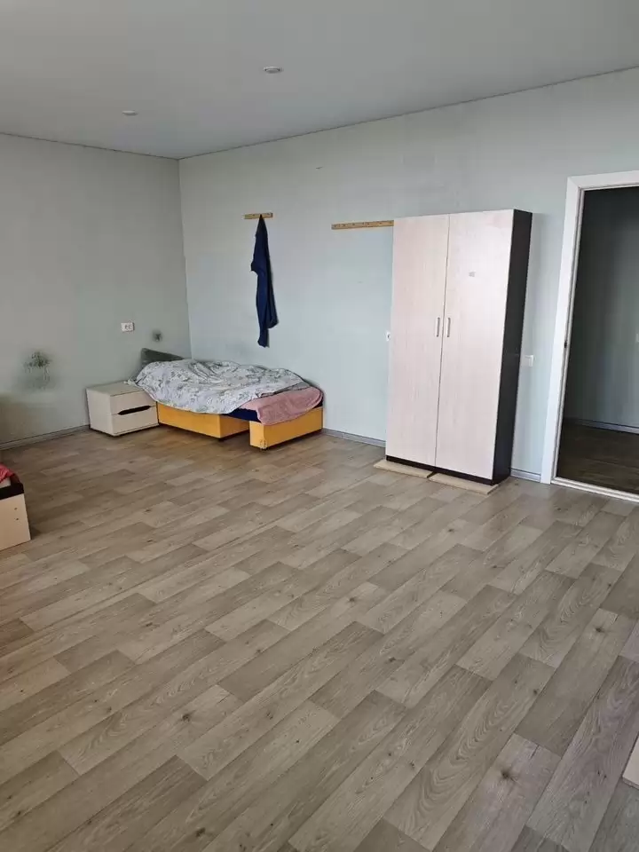 4393666-11