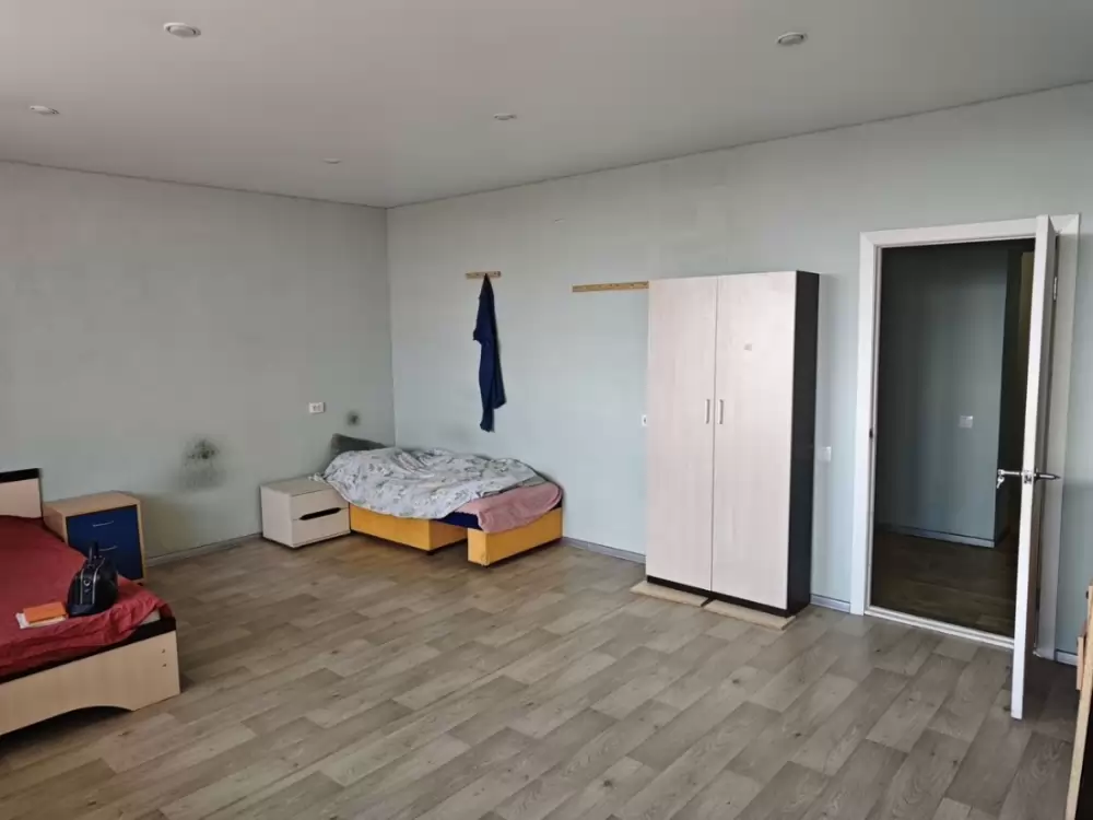 4393666-12
