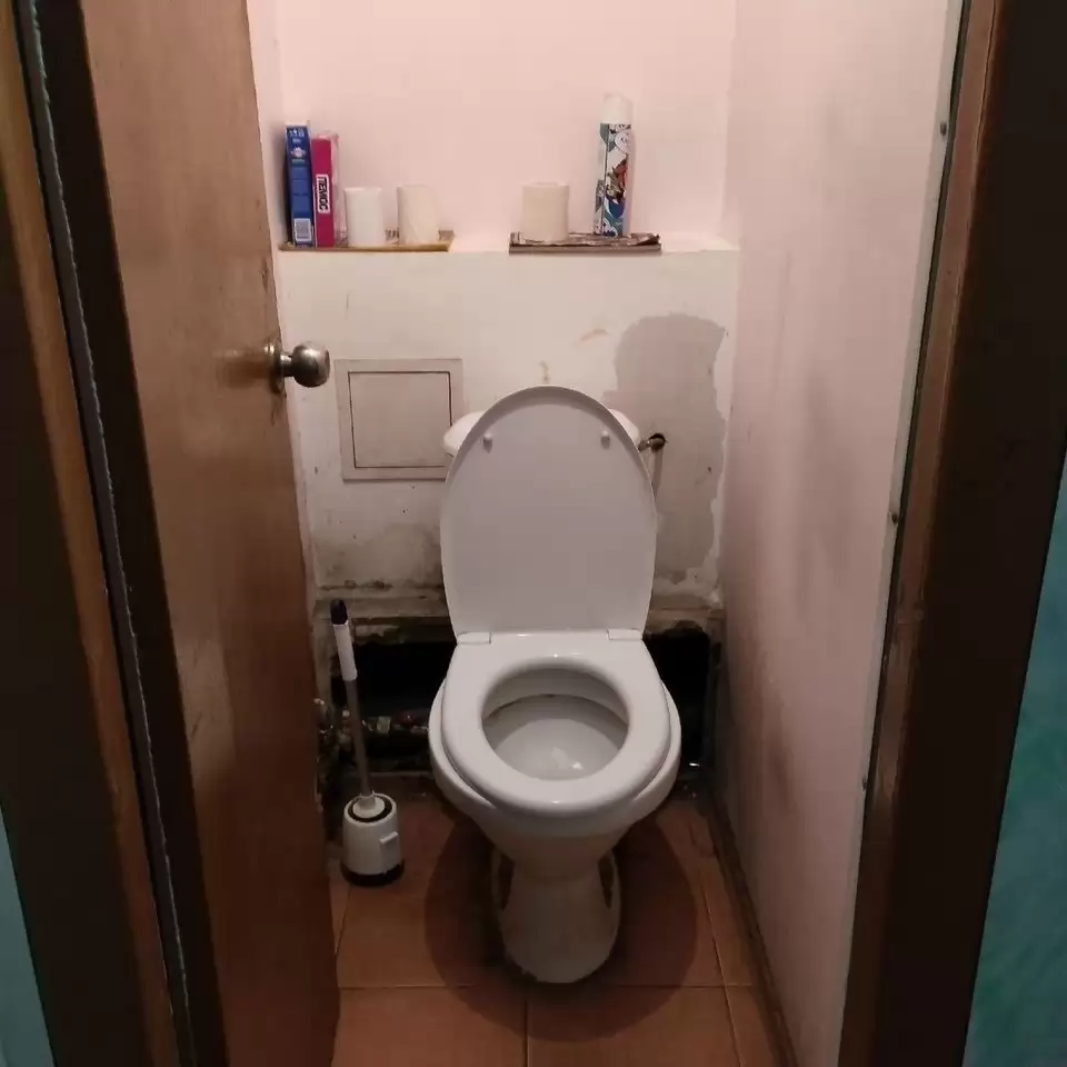 4436559-14
