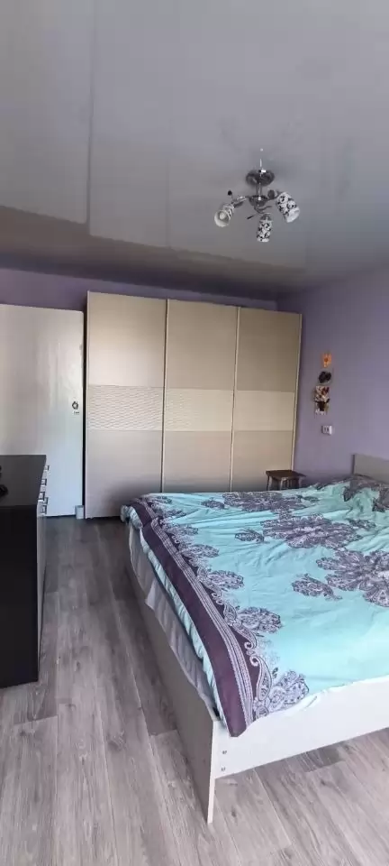 4482867-7